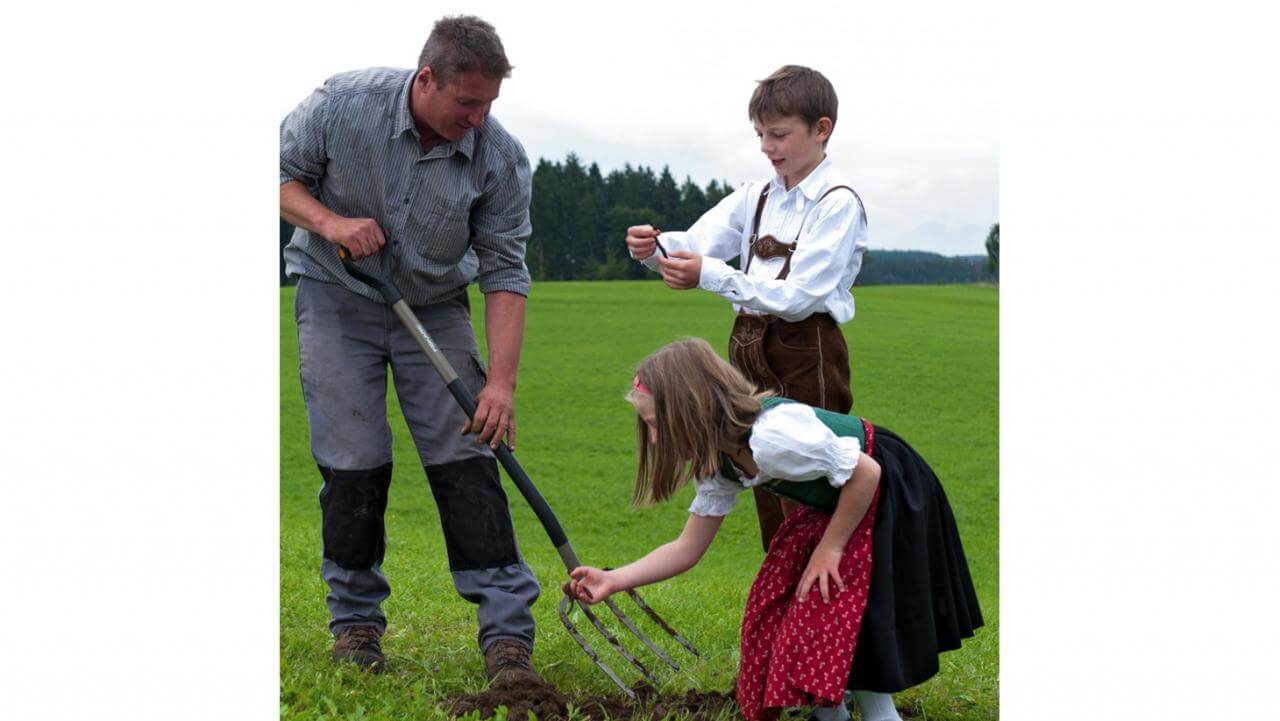 Gedanken zum Tag des Regenwurms am 15. Februar
