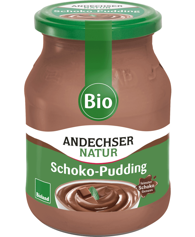 Bio-Pudding Schokolade