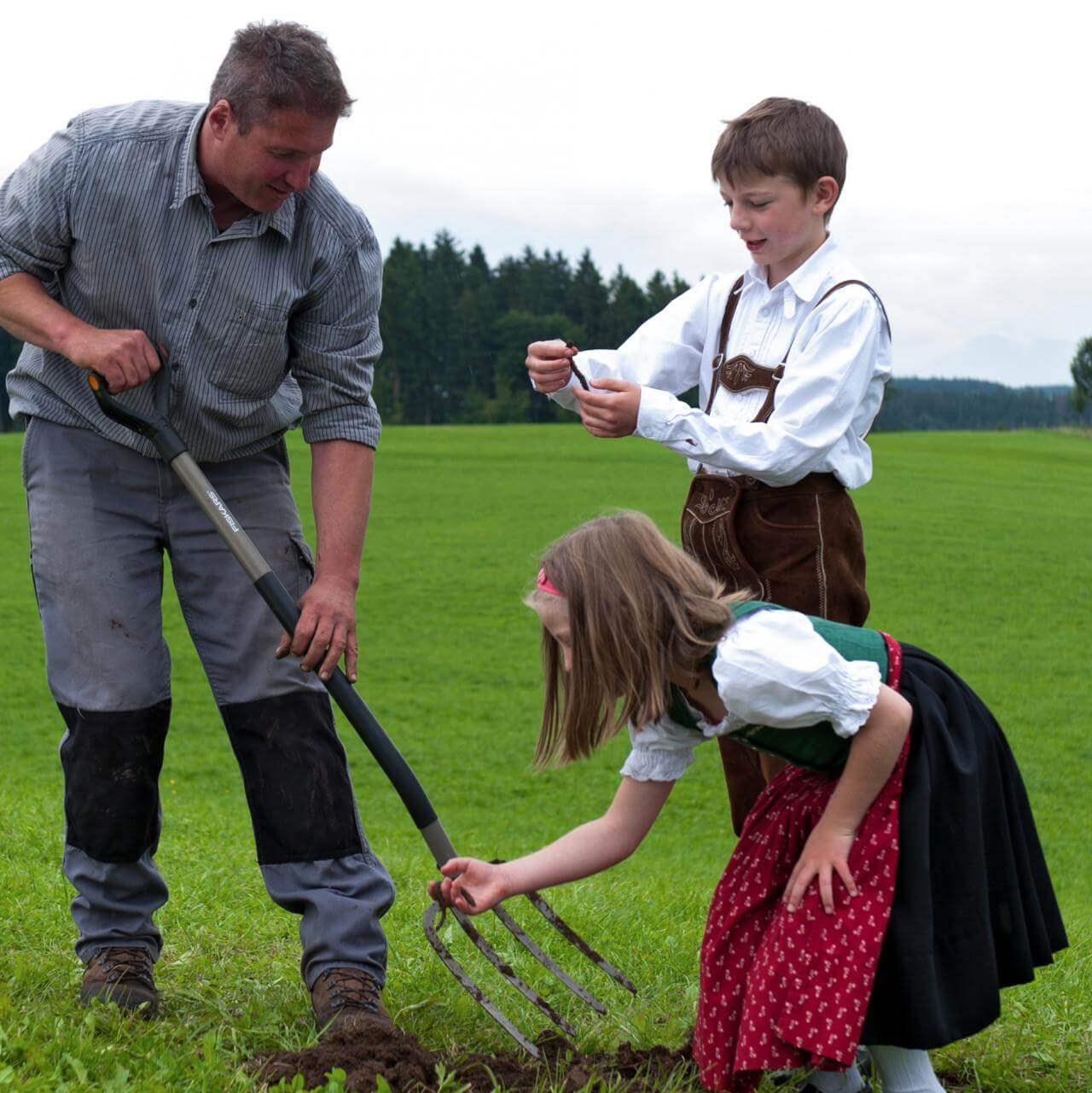 Bild Regenwurm