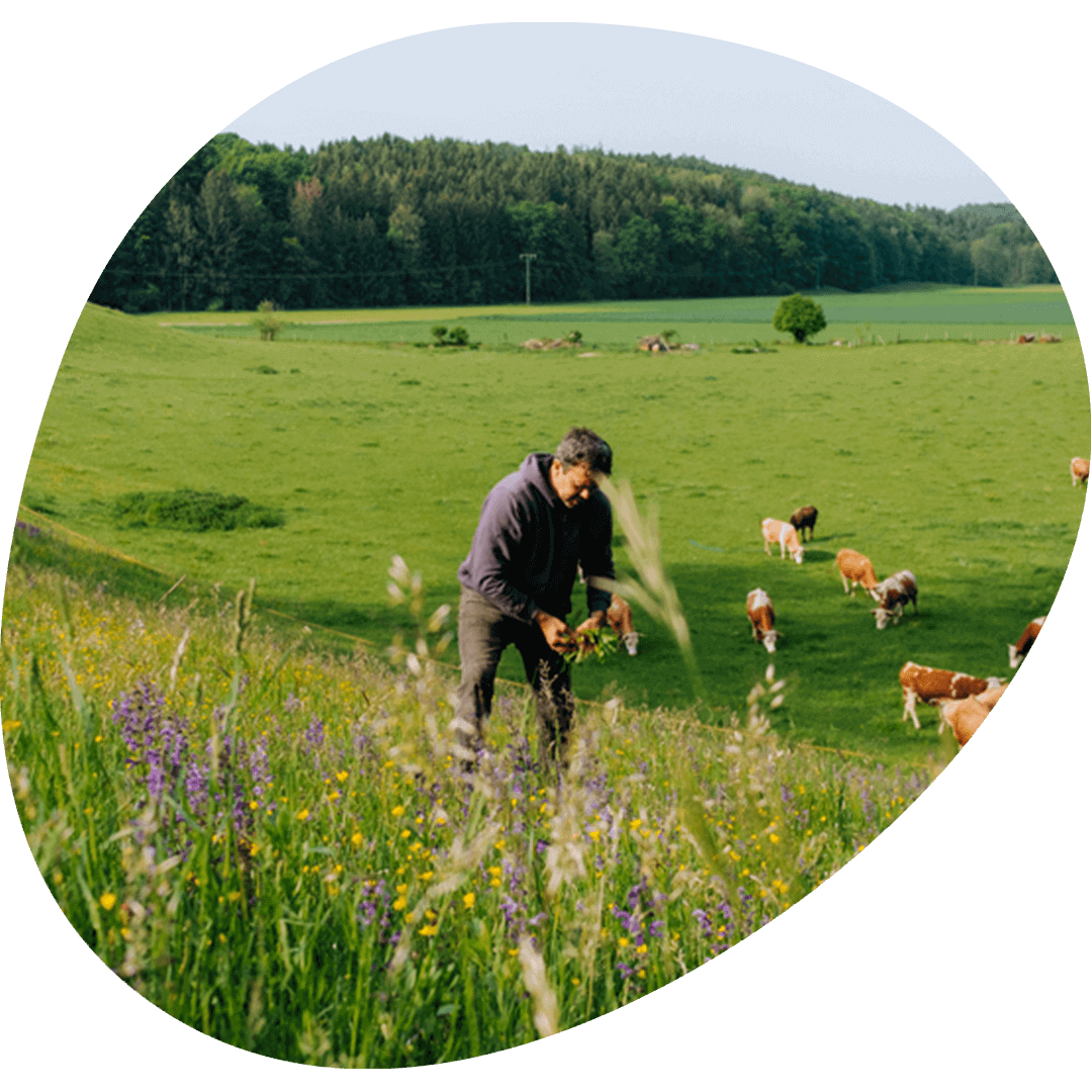 Landwirt auf Wiese