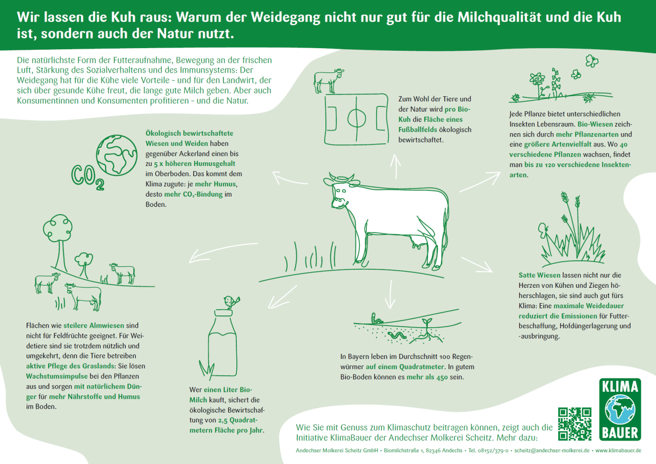 Effekte der Weidehaltung